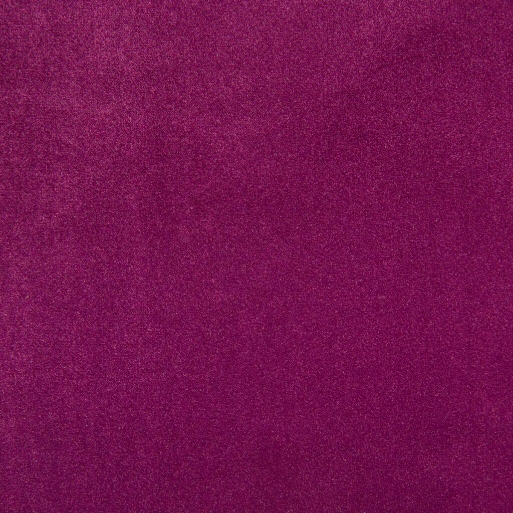 Purple Seastar