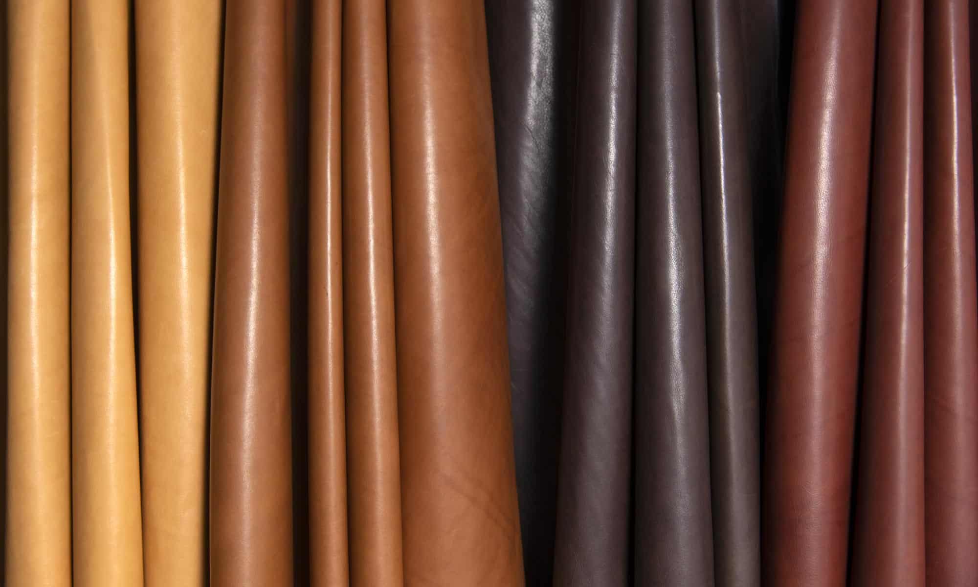 Jamie Stern Avignon leather
