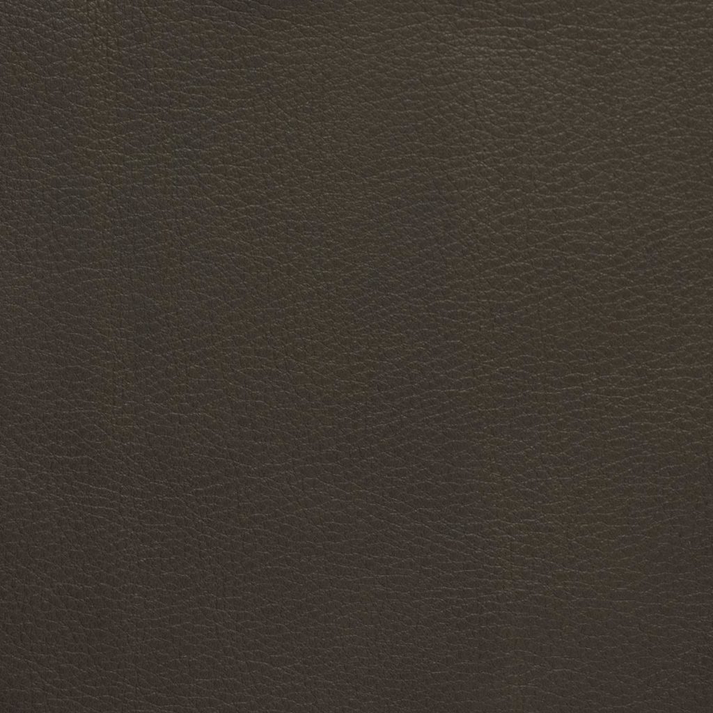 Selkie Grey