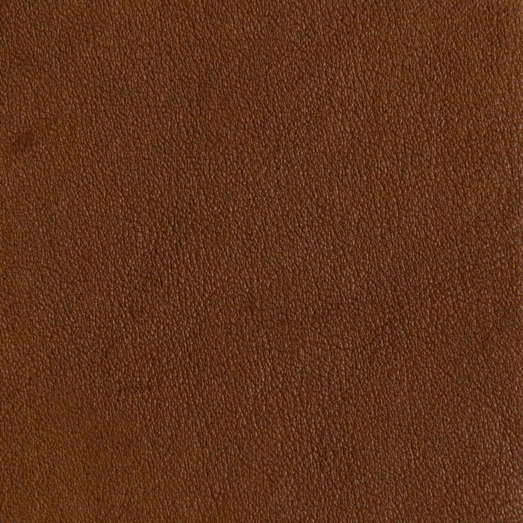 Saddle