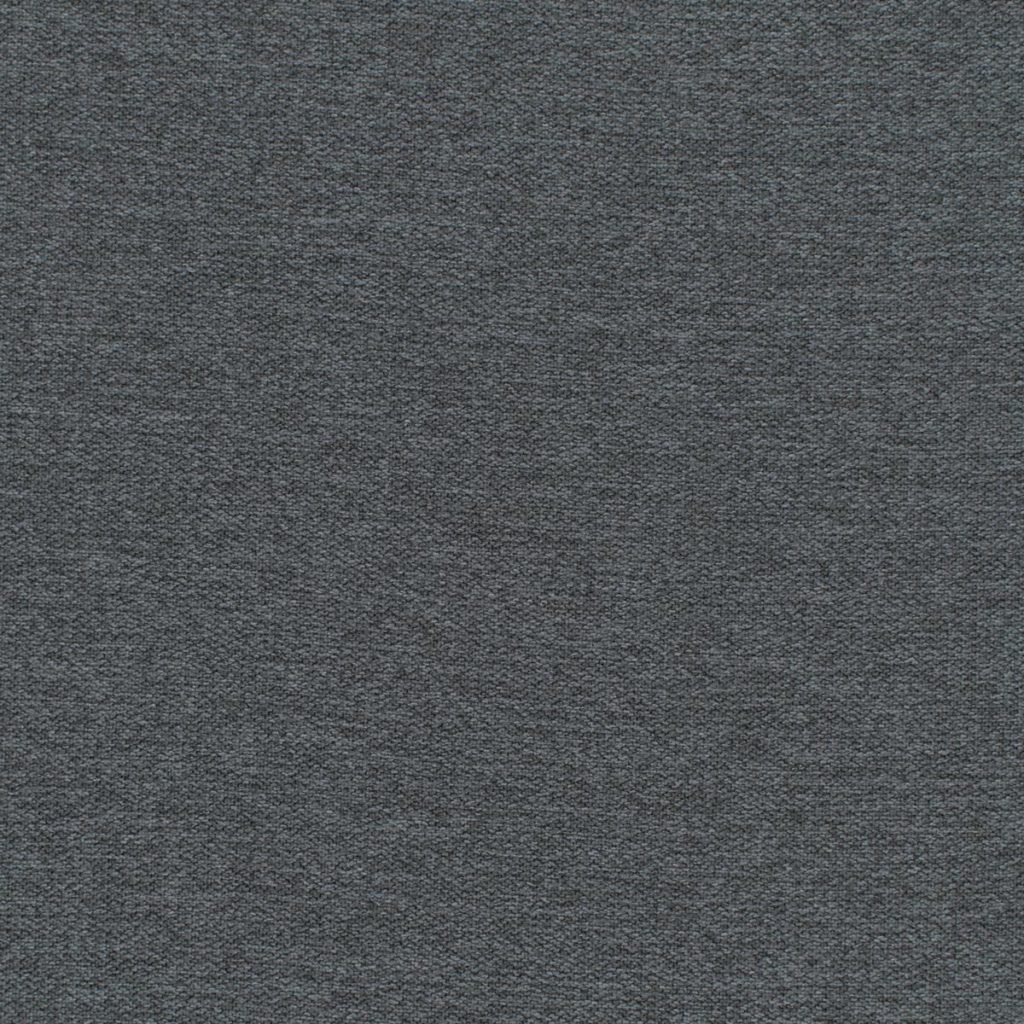 Porpoise