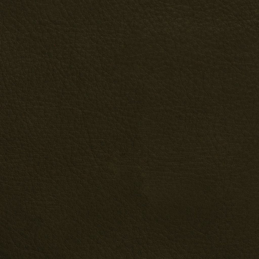 Carbon Steel