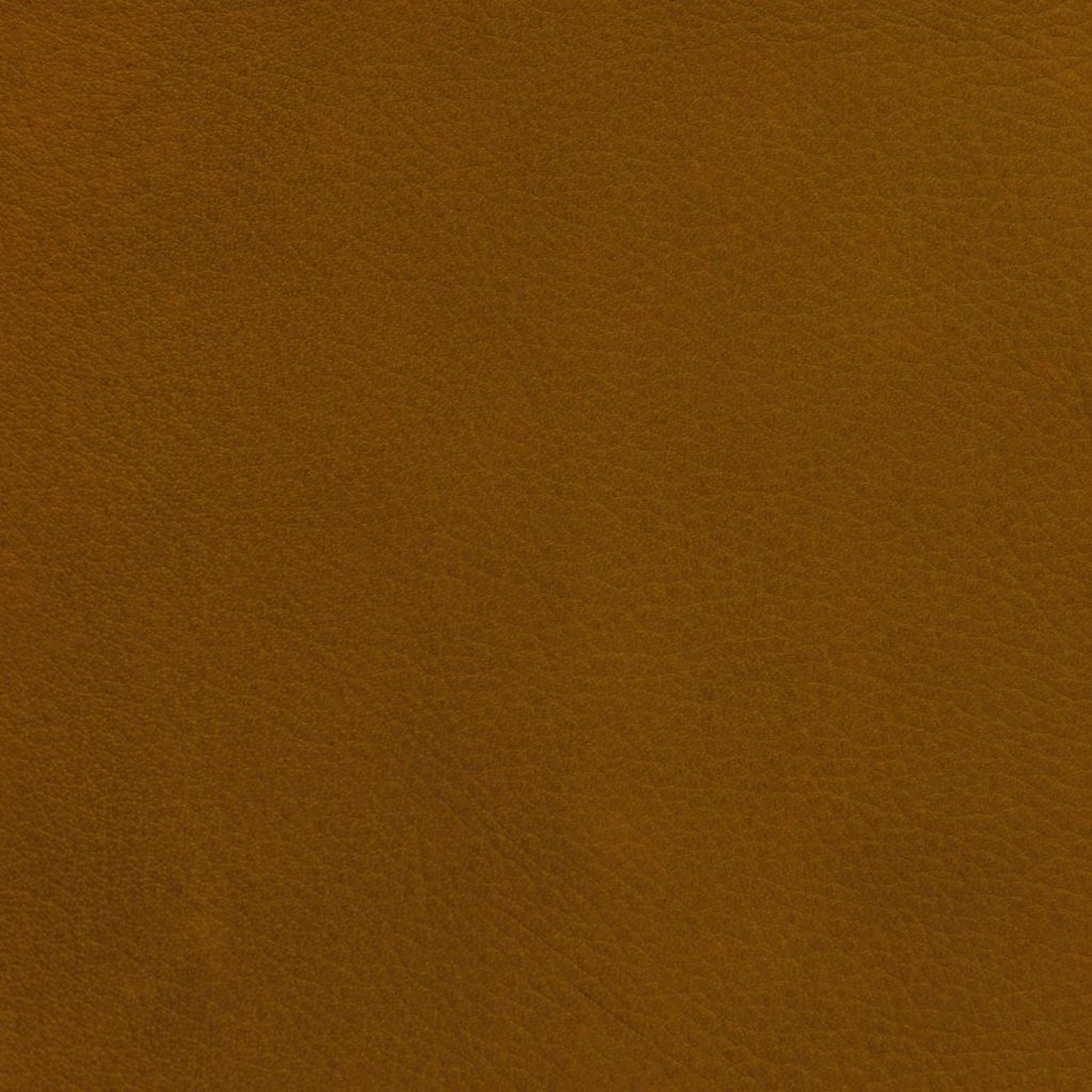Butterscotch